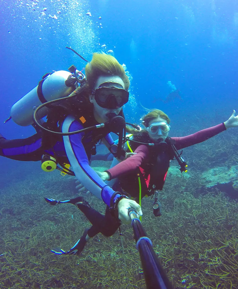 Bodrum dalış ve sualtı keşfi